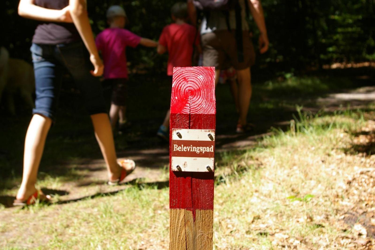 Camping De Reeenwissel Hoogersmilde Экстерьер фото
