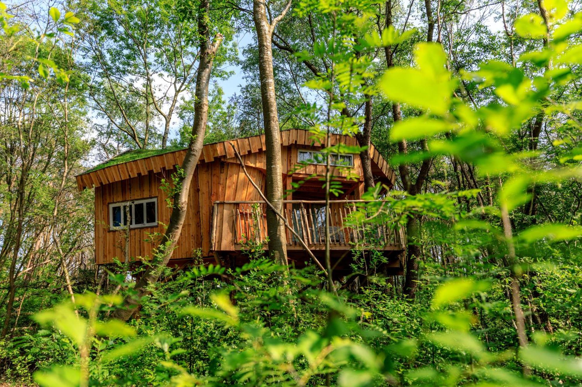 Camping De Reeenwissel Hoogersmilde Экстерьер фото